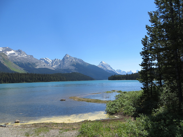 11789195994_13a3f004a2_z