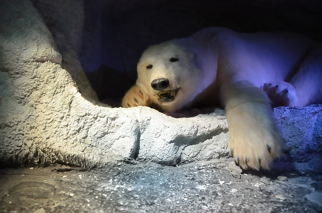 6263848969_9a57403e12_z