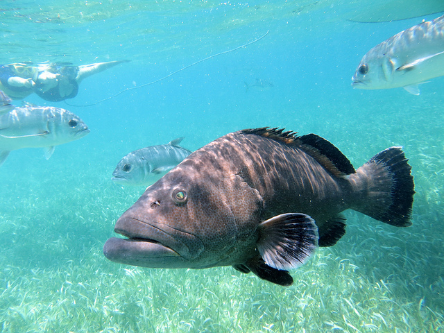 8833376090_dc13a06f80_z