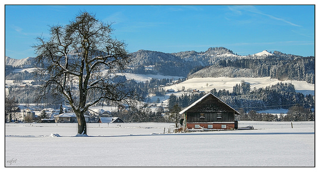 19756300923_d629249cbb_z