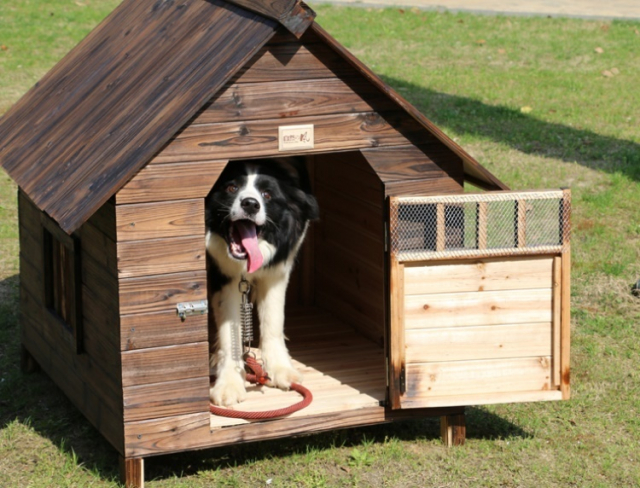 犬小屋・屋外用】どんな天気も季節も快適に過ごしてほしい！屋外用犬小屋おすすめ10選！ - ライフスタイル｜まっぷるウェブ