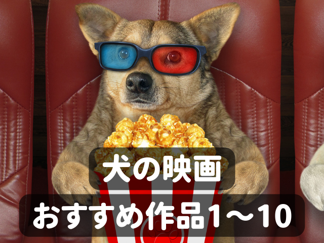 犬の映画おすすめ30選 映画を通して見つめ直したい 命の大切さ 1枚目の画像