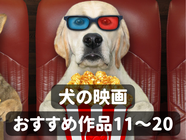 犬の映画おすすめ30選 映画を通して見つめ直したい 命の大切さ 12枚目の画像