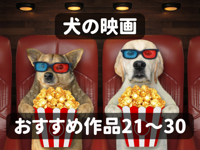 犬の映画おすすめ30選 映画を通して見つめ直したい 命の大切さ ライフスタイル まっぷるトラベルガイド