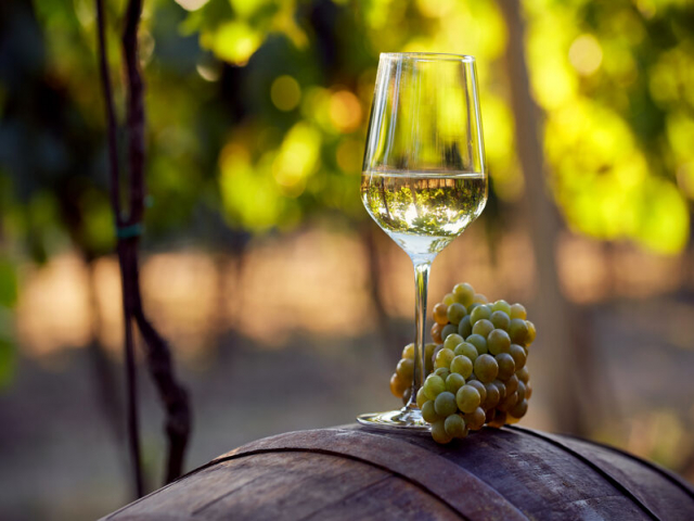 白ワインおすすめ31選 ソムリエが選ぶ品種別におさえておきたい白ワインをご紹介！